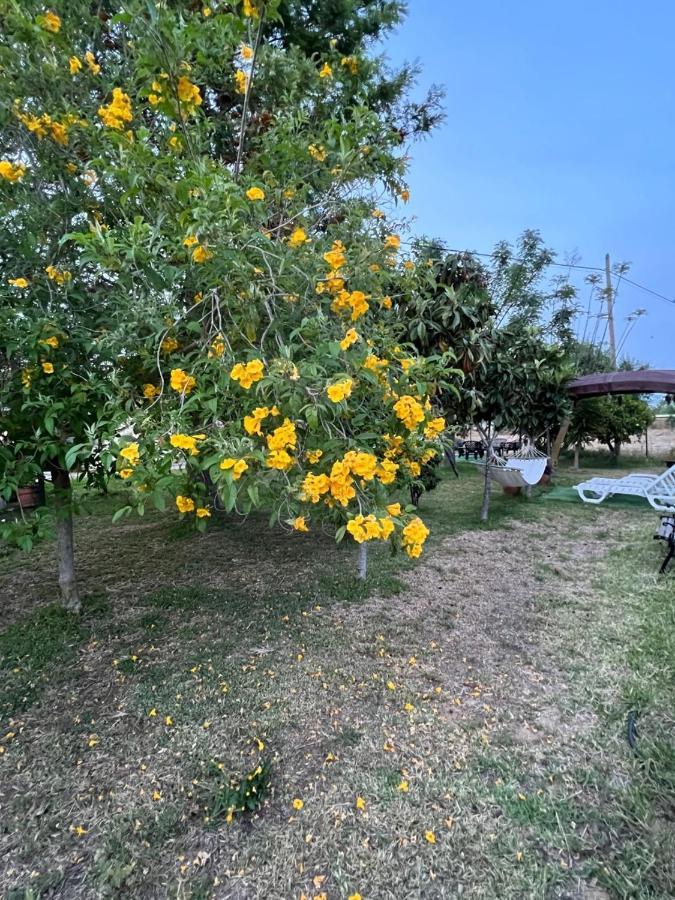 Casa vacanze Quinta Dos Viegas